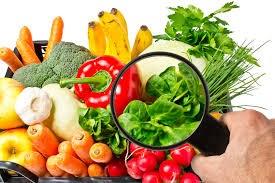 La sécurité alimentaire dans les Sources, une réalité qui mobilise sans cesse les organismes du milieu