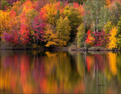 Miroir