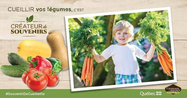 L’autocueillette de légumes et de fleurs, c’est créateur de souvenirs