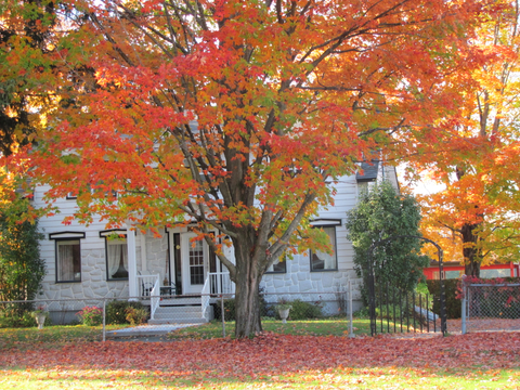 L`automne 