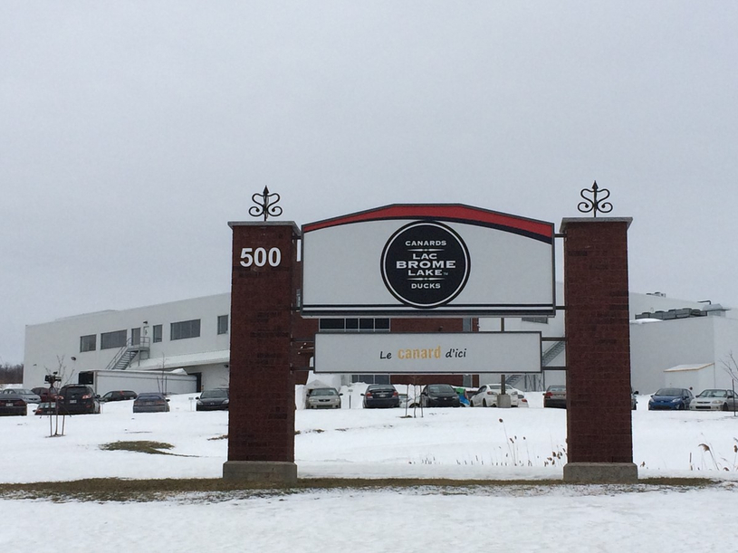 L’abattage débutera cette semaine chez Canard du Lac Brome
