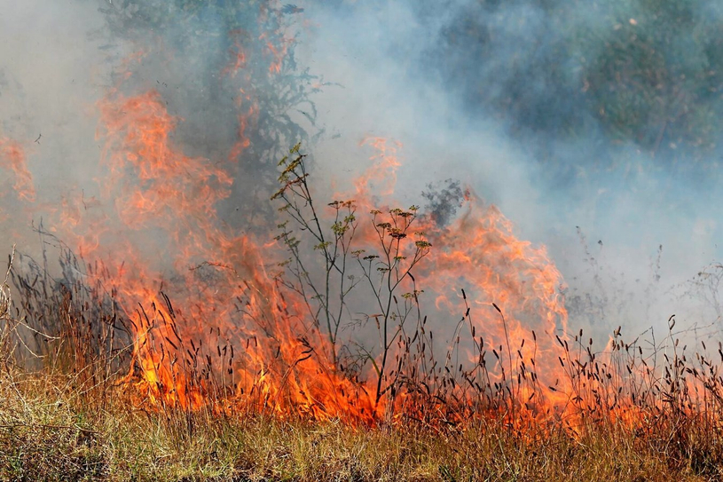 Les pompiers interviennent pour neutraliser un important feu de broussailles à Danville