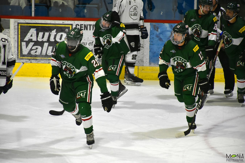 Tout est possible pour le Desjardins — Wild