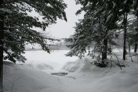 Ski de fond, les conditions sont superbes