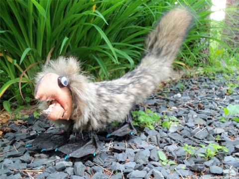 animal misterieux,et rare..