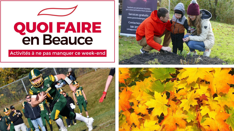 Quoi faire en Beauce du 16 au 18 octobre ?