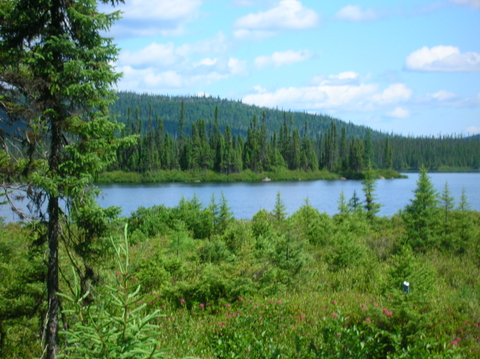 quel beau paysage