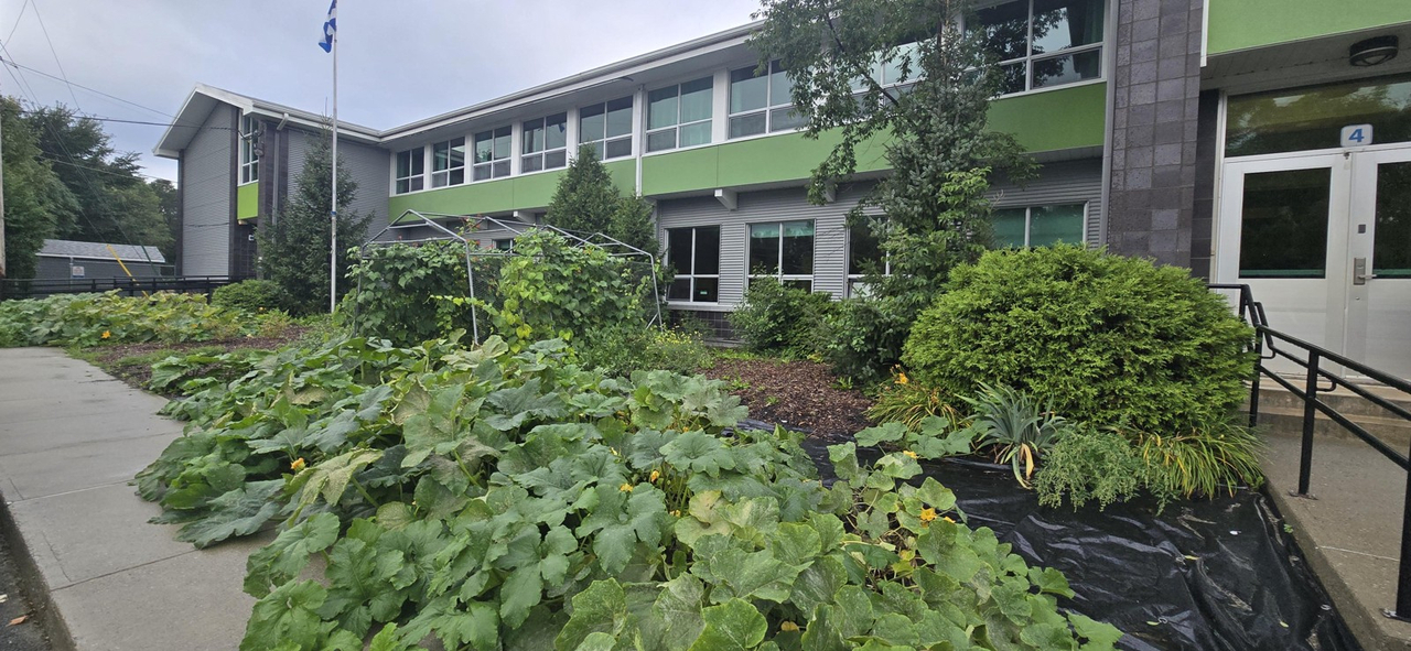 L’école Hamelin de Wotton inaugure sa plate-bande nourricière