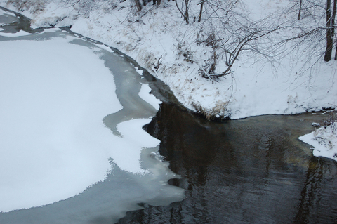 Paysage d'hiver