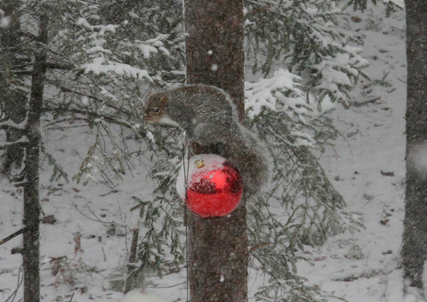 L'hiver s'annonce