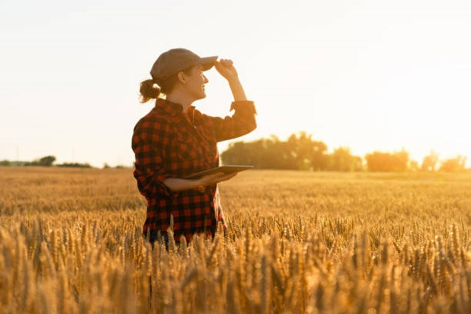 La relève agricole au féminin