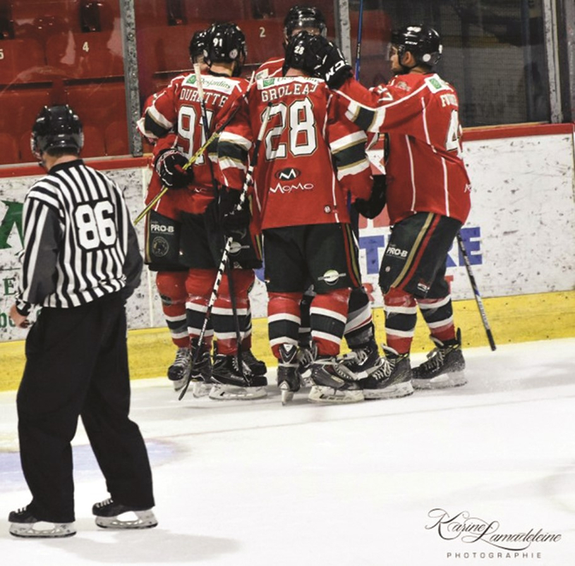 Une victoire et des toutous pour le Wild de Windsor