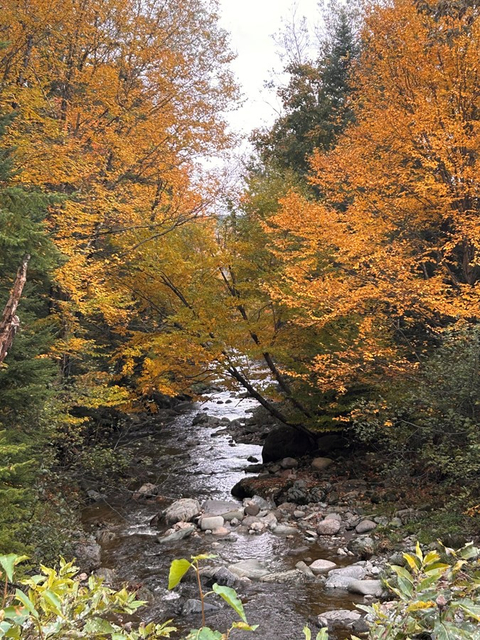 Couleurs d’automne