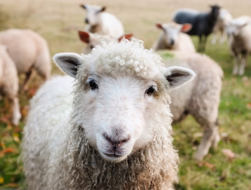 Un premier projet soutenu par le Fonds écoresponsable de la MRC du Val-Saint-François
