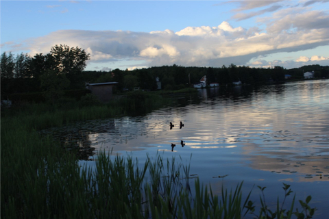 la nature et ses couleurs