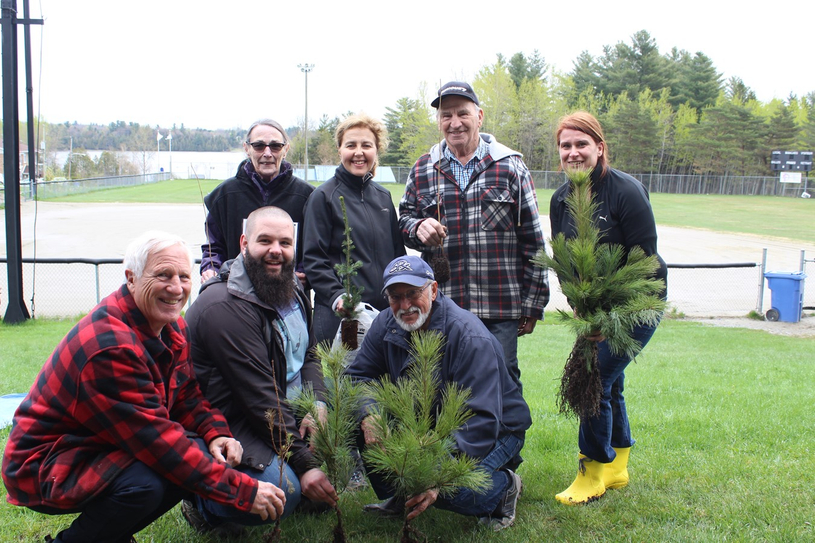 La Journée de l’Arbre pour l’environnement et les amis