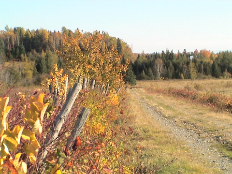 Le temps poursuit son chemin
