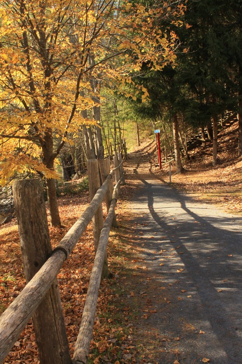 une marche dans la nature