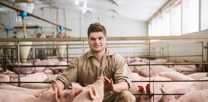 Les Éleveurs de porcs du Québec, des leaders sur la planète