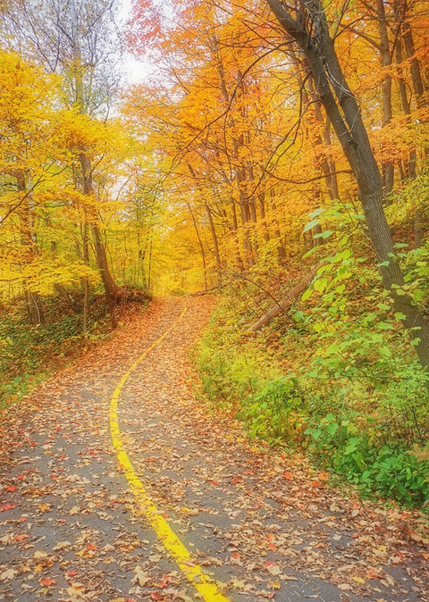 La route du paradis