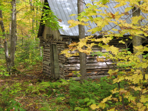 cabane rustique à St-Prosper