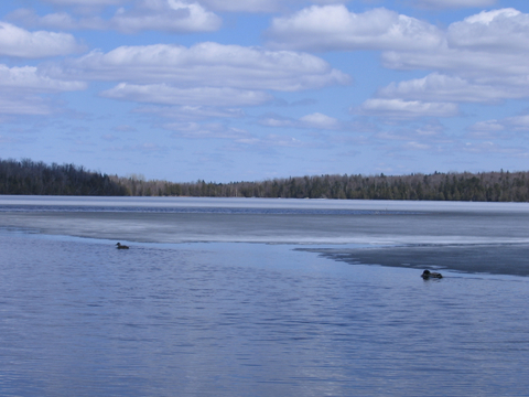 Lac Fortin