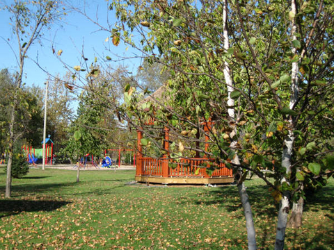 beau jour d'automne au Parc 