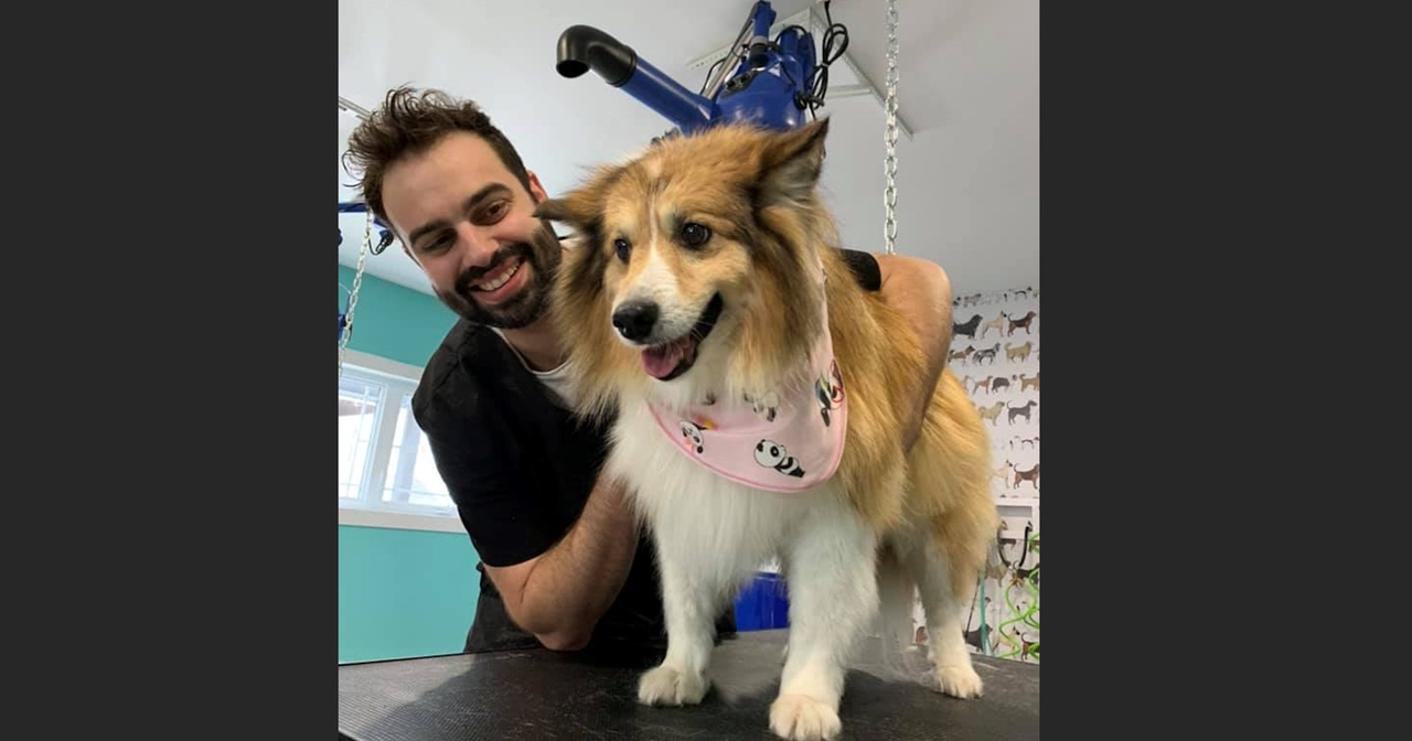 Aux petits soins avec votre animal !