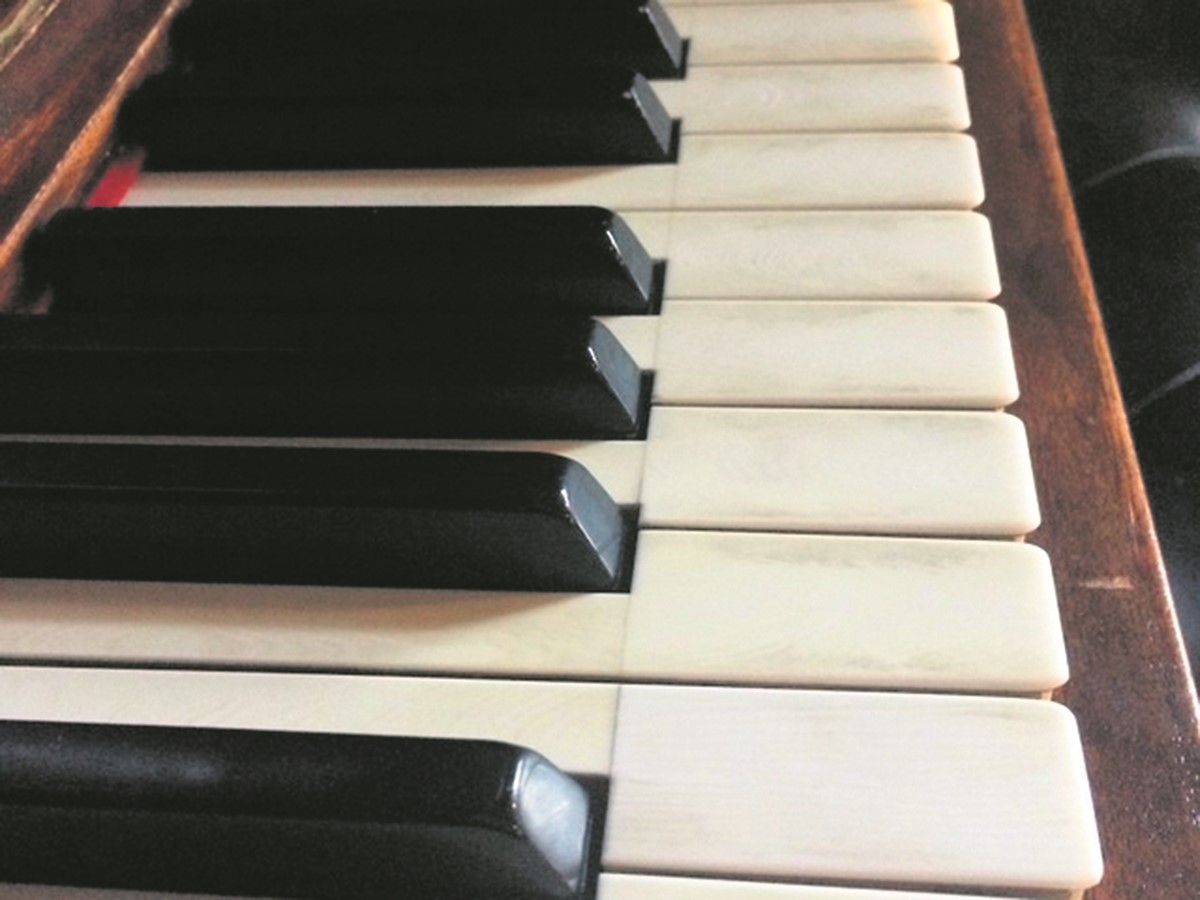 La musique, une amie pour la vie et des professeurs chevronnés