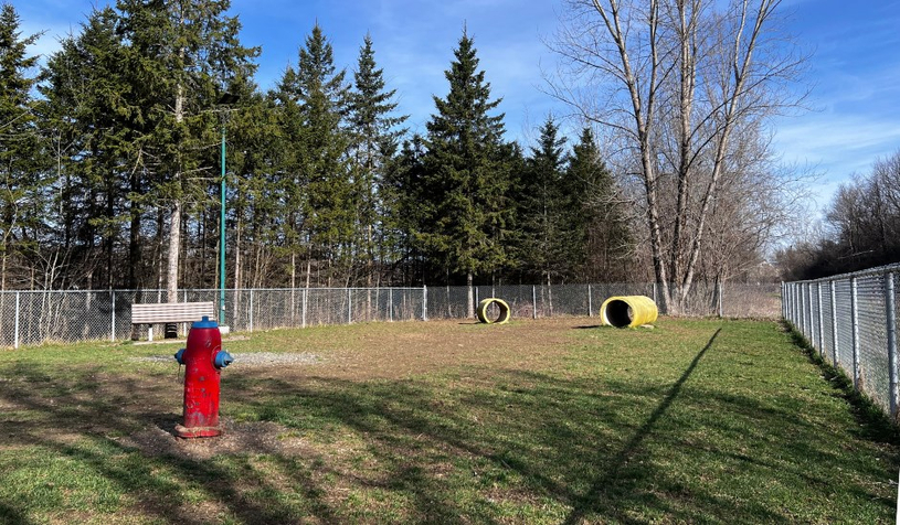 Travaux de réfection au parc canin de Windsor