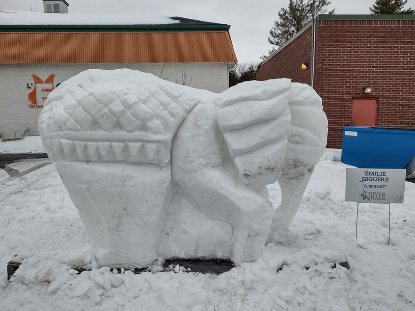 Une première édition de l’Hivernale fort appréciée des participants