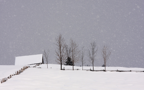 Paysage hivernal 