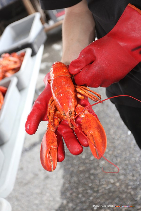 Souper aux homards 2016