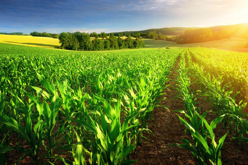 Rétribution des pratiques agroenvironnementales : une reconnaissance concrète très attendue