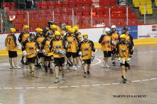 Les Aigles seniors accède à la finale 2015 face à Laval