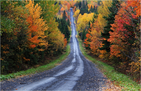La Route