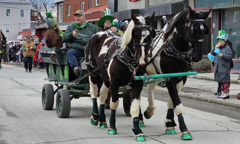Bien sûr, les personnes présentes ont pu voir les chevaux bien présents dans le défilé.