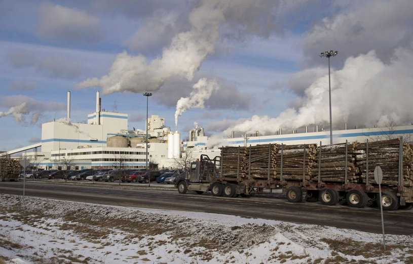 Domtar : un projet pour moderniser la cour à bois 