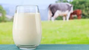 La Ferme Daniel et Johanne Bombardier de Maricourt s’illustre pour la qualité de son lait