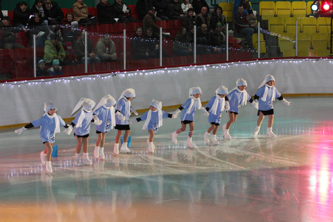 Patins d'Argent 2011