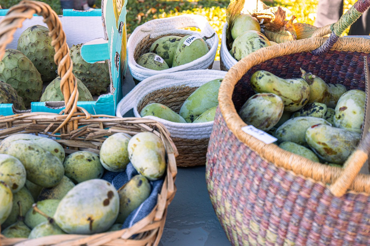 Des milliers d'amateurs rassemblés autour du pawpaw, ce fruit local au goût tropical