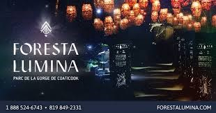 Foresta Lumina, une activité du tonnerre à vivre et à revivre! 