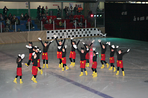 44e spectacle des Patins d'argent