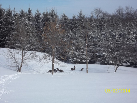 Photo de la région