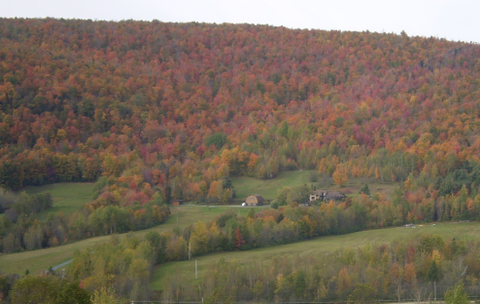 Cleveland en automne