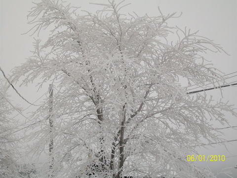 l'hiver 