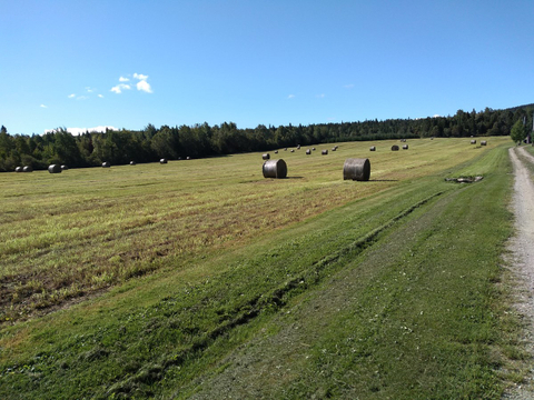La période des foins