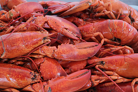 Souper aux Homard de la fondation du CSSS