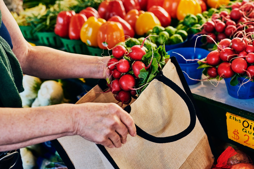 Lancement régional des marchés publics des Cantons-de-l’Est 2020