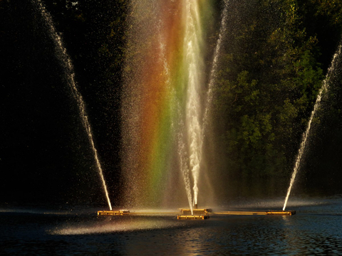 Arc en ciel sux Passerelles